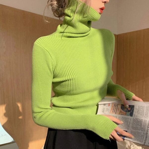 Women's High Collar Thickened Sweater
