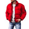 Down Cotton Padded Short Jacket