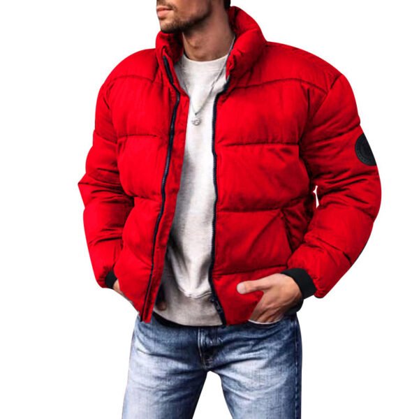 Down Cotton Padded Short Jacket